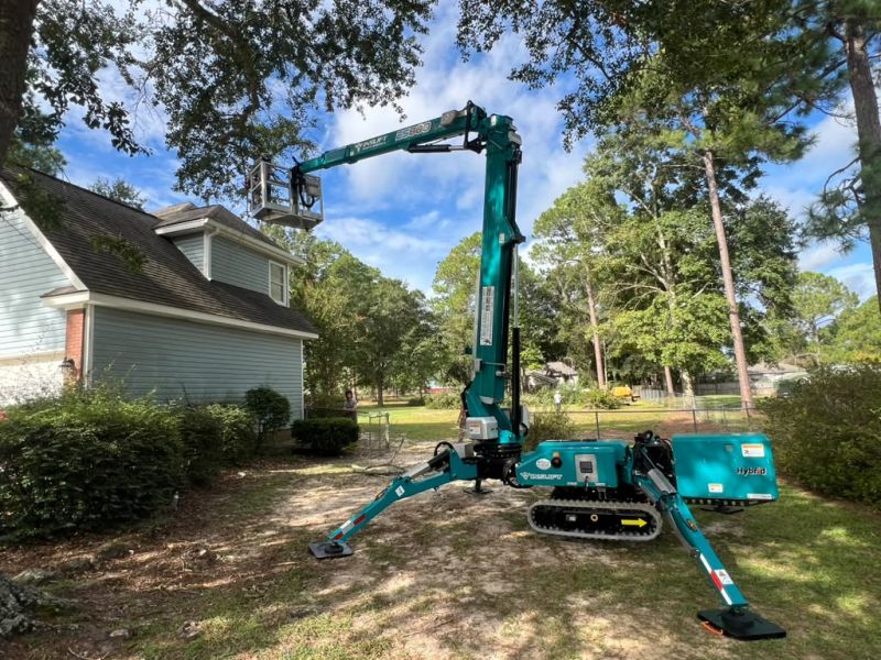 Tree Care in the U.S.: High Risk, High Demand—and a Growing Role for Spider Lifts